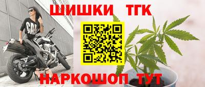 гашик Донской