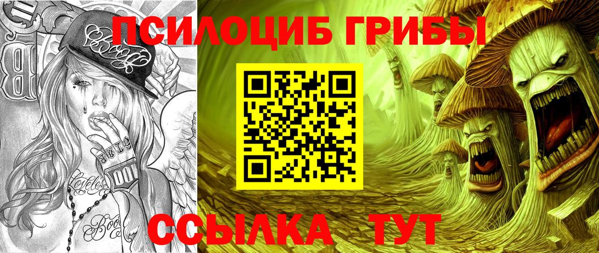Галлюциногенные грибы GOLDEN TEACHER Жуковский